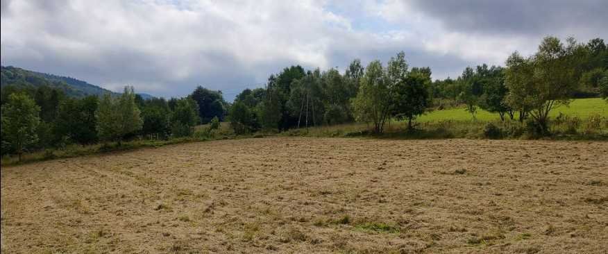 Działka inna na sprzedaż Lądek-Zdrój  3 000m2 Foto 7