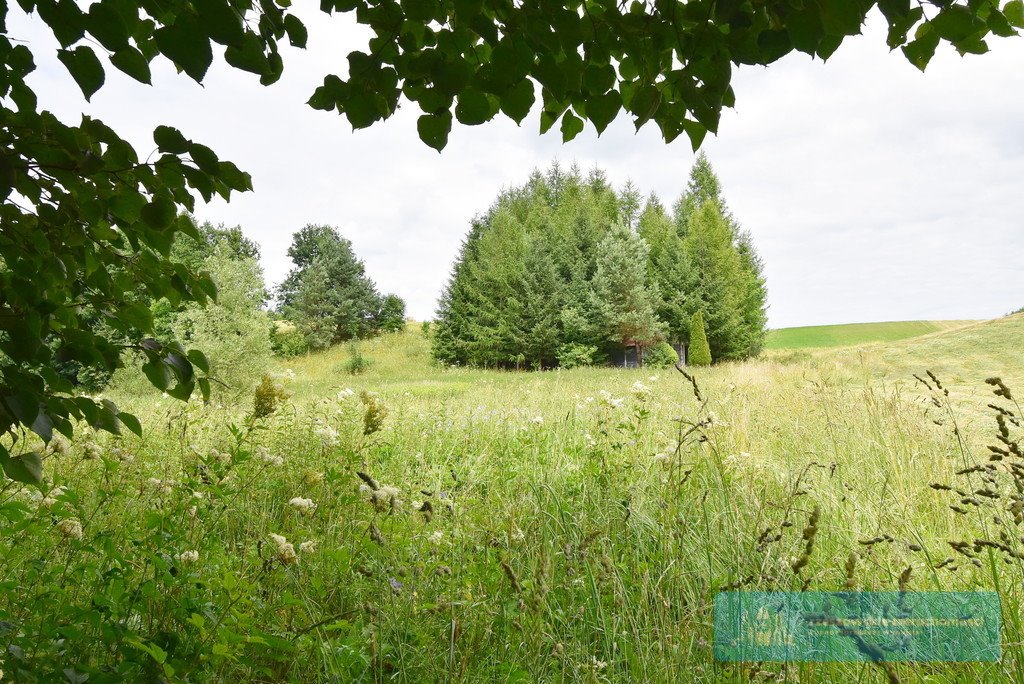 Działka budowlana na sprzedaż Stara Wieś  4 629m2 Foto 7