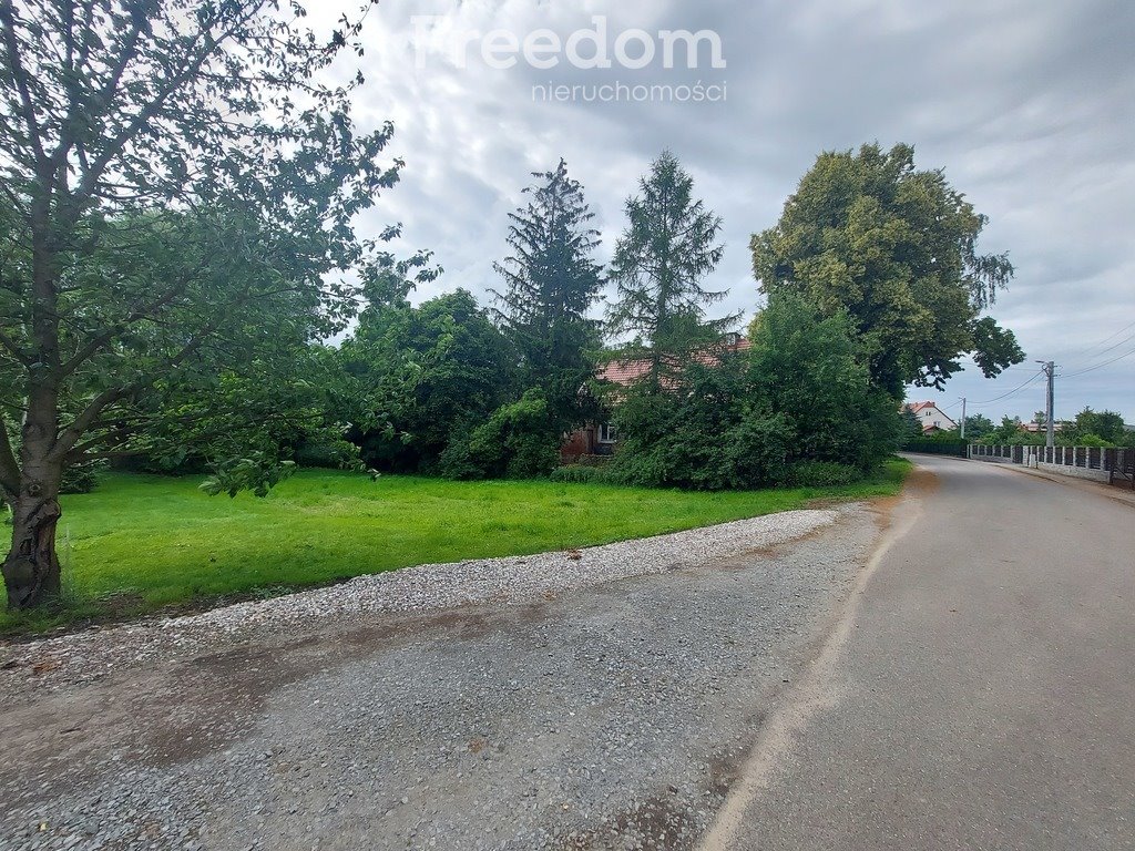 Działka rolna na sprzedaż Kamienica  356m2 Foto 3