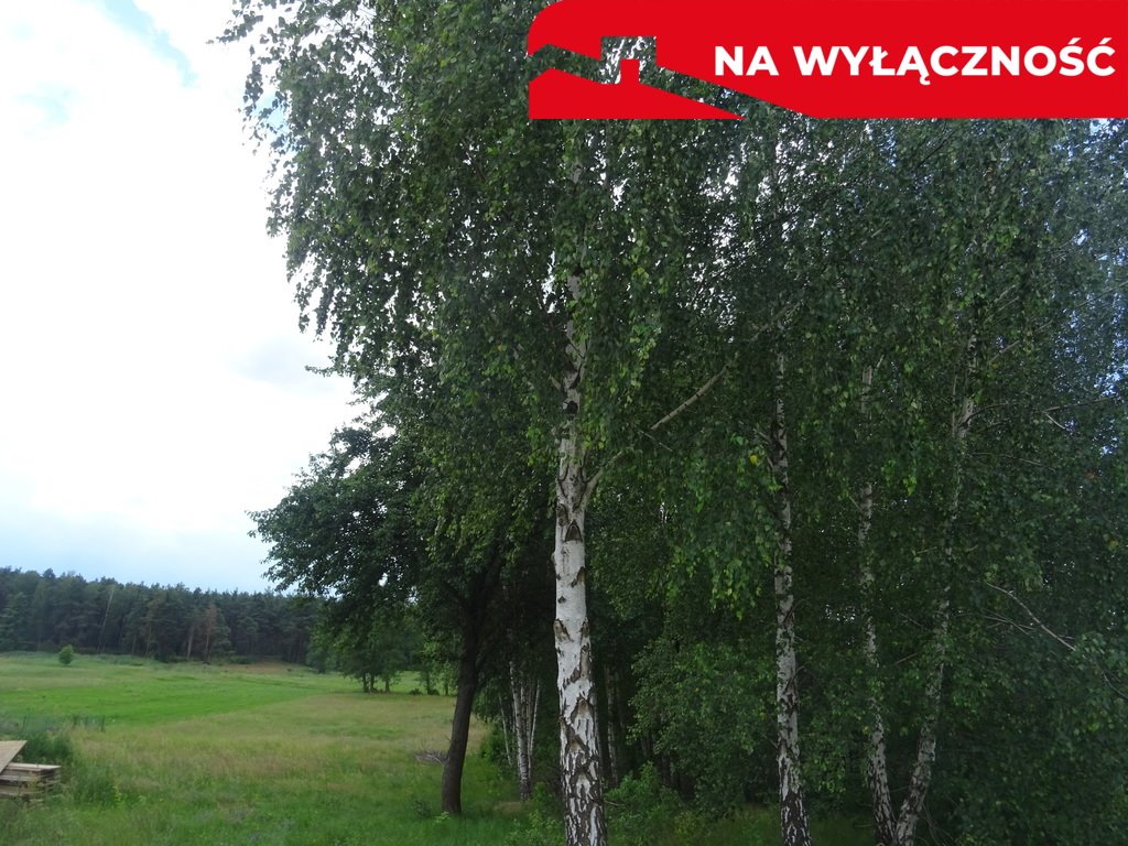 Działka budowlana na sprzedaż Kałek  7 232m2 Foto 2