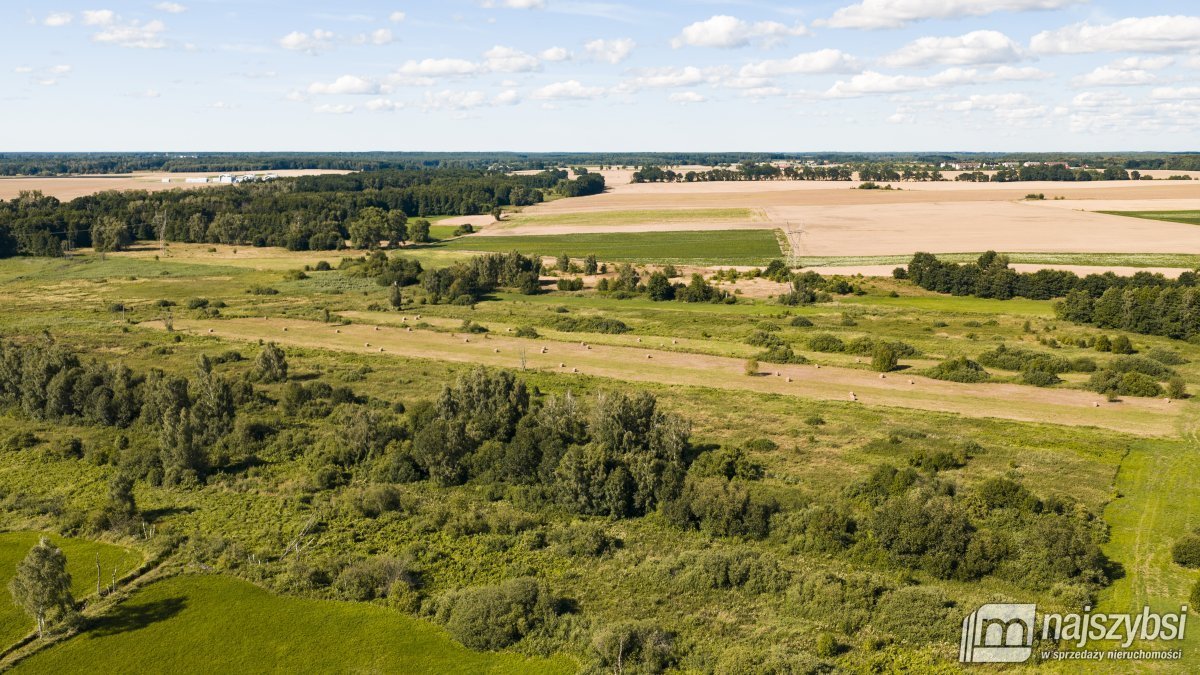 Działka rolna 19 921 m² w Danowie - dostęp do drogi publicznej Danowo  19 921m2 Foto 1