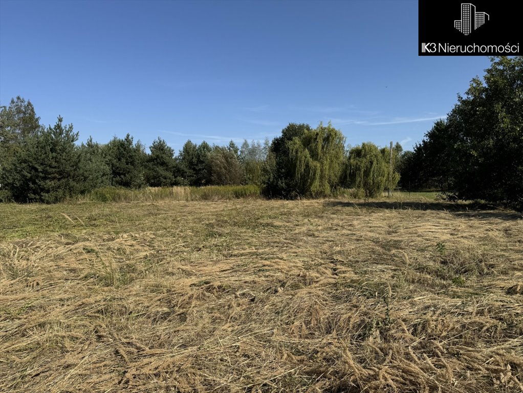 Działka budowlana na sprzedaż Wielgolas Brzeziński, Piastowska  1 300m2 Foto 8