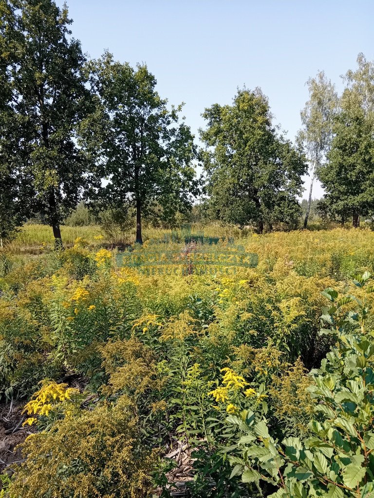 Działka budowlana na sprzedaż Izabelin-Dziekanówek  1 200m2 Foto 9