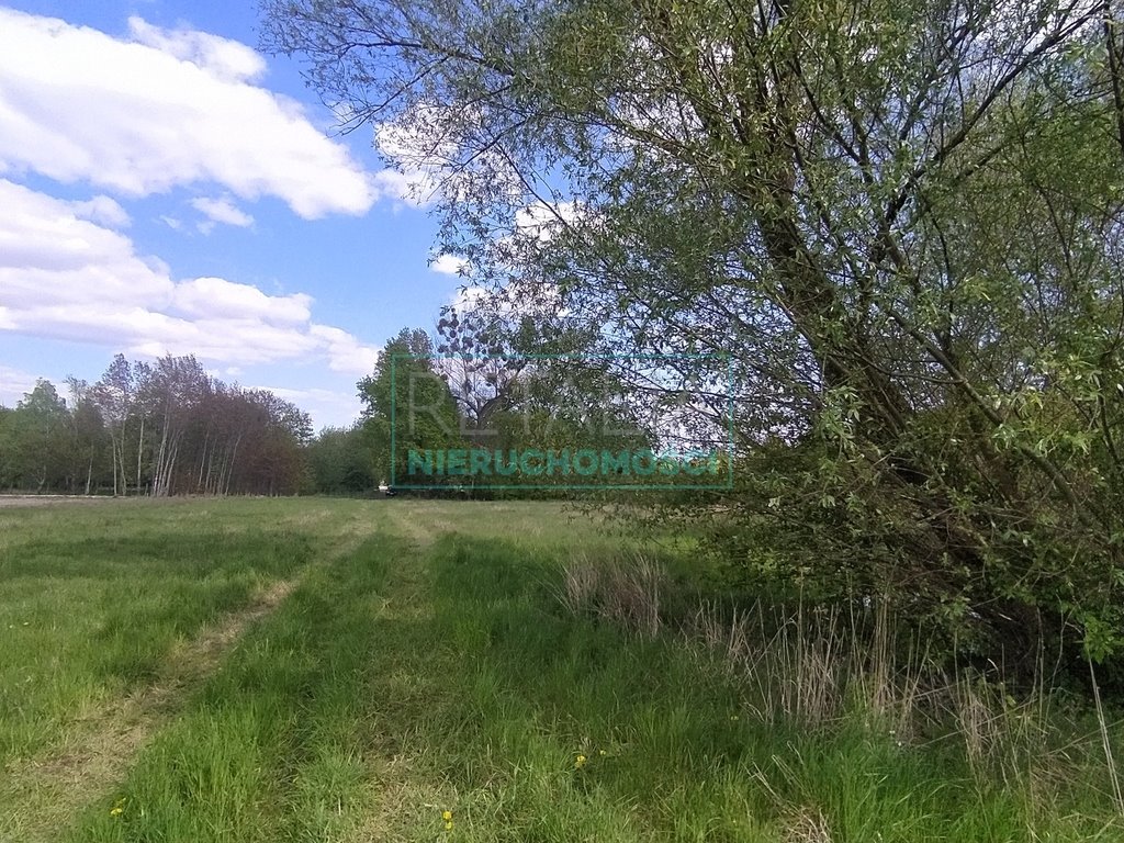 Działka budowlana na sprzedaż Chrzanów Mały  1 586m2 Foto 1