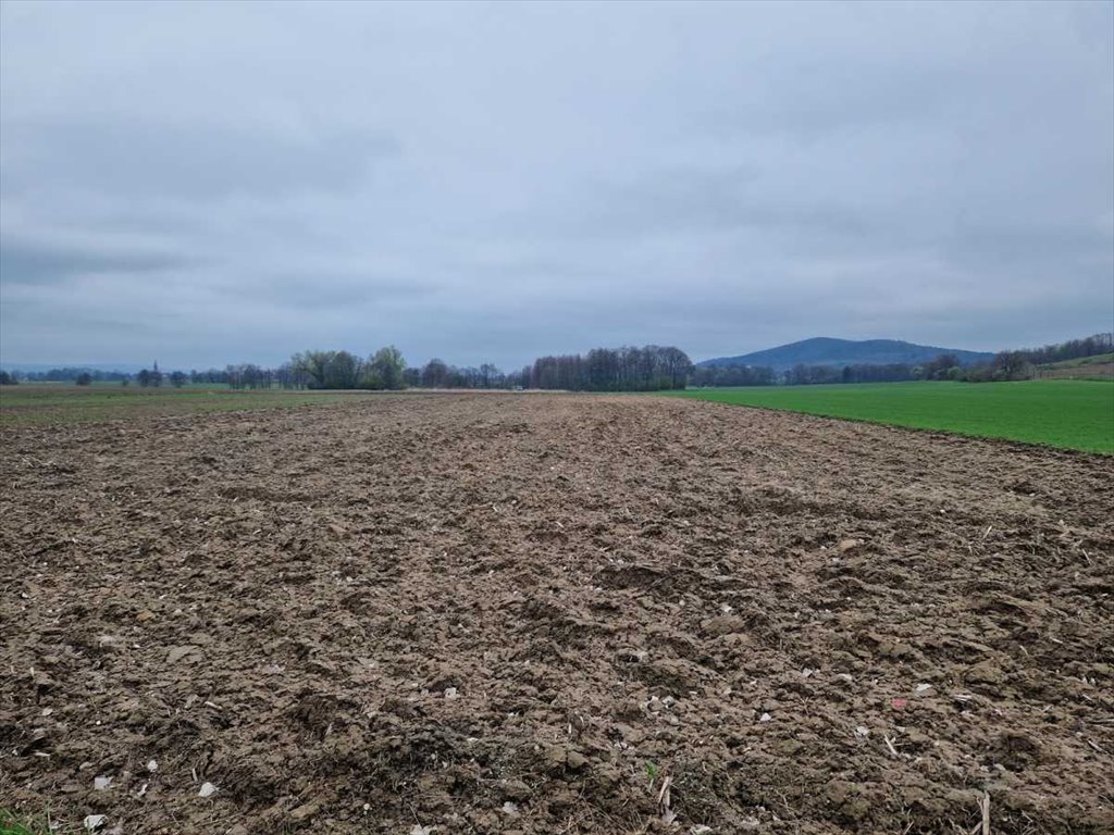 Działka inna na sprzedaż Łagiewniki, Jaźwina  5 900m2 Foto 2