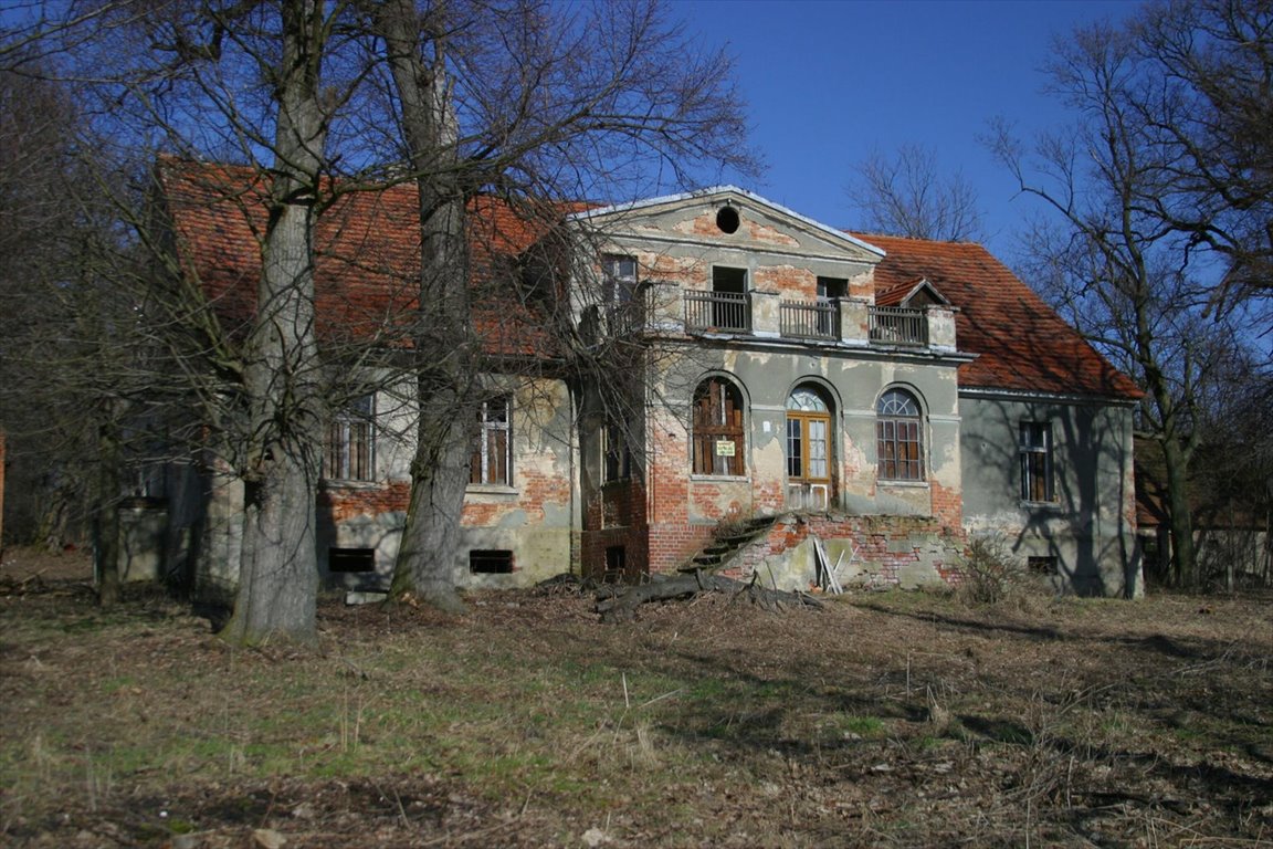 Lokal użytkowy na sprzedaż Wińsko  470 000m2 Foto 1