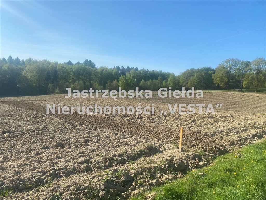 Działka rolna na sprzedaż Jastrzębie-Zdrój, Ruptawa  6 667m2 Foto 3