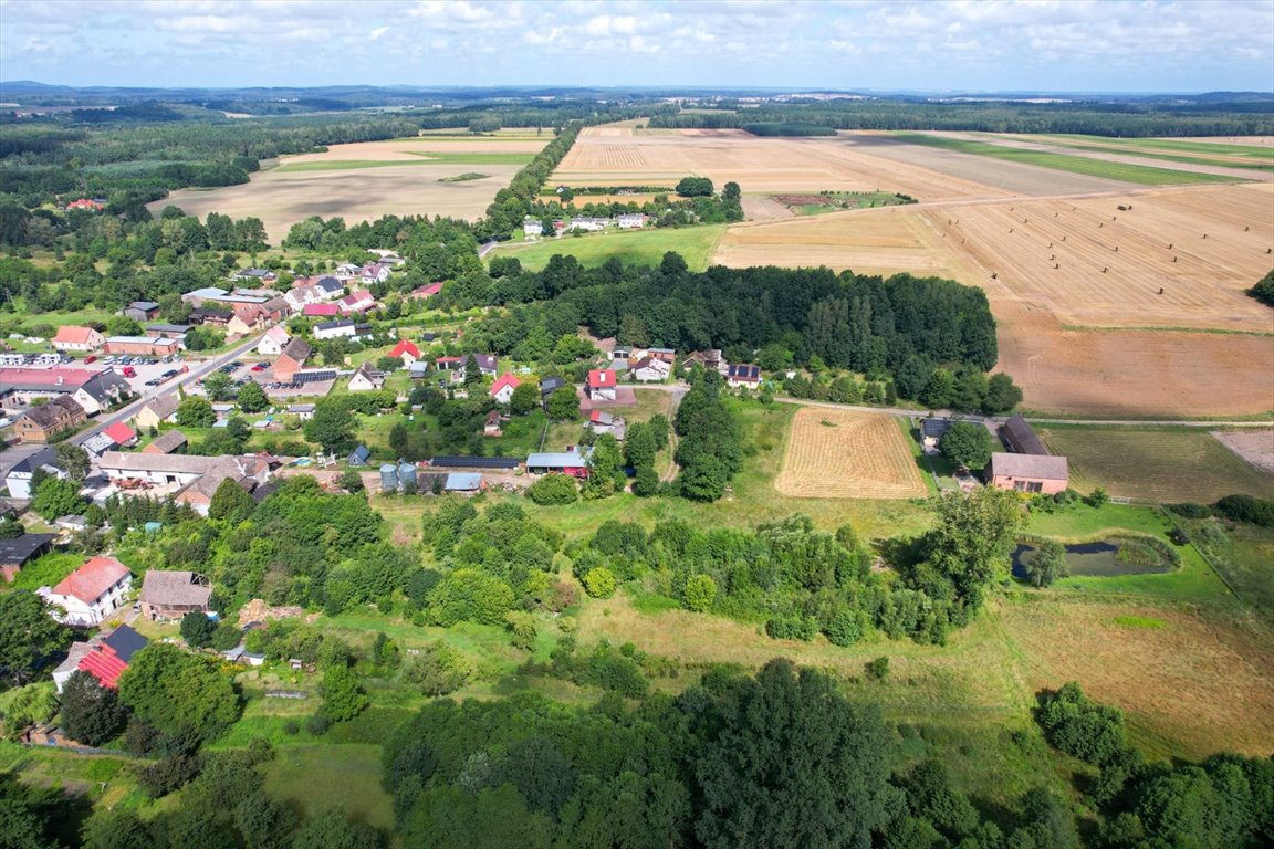 Działka inna na sprzedaż Wielka Wieś  4 000m2 Foto 8