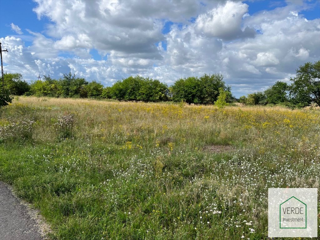 Działka przemysłowo-handlowa na sprzedaż Chludowo, Chludowo, Szosa Poznańska  1 250m2 Foto 2