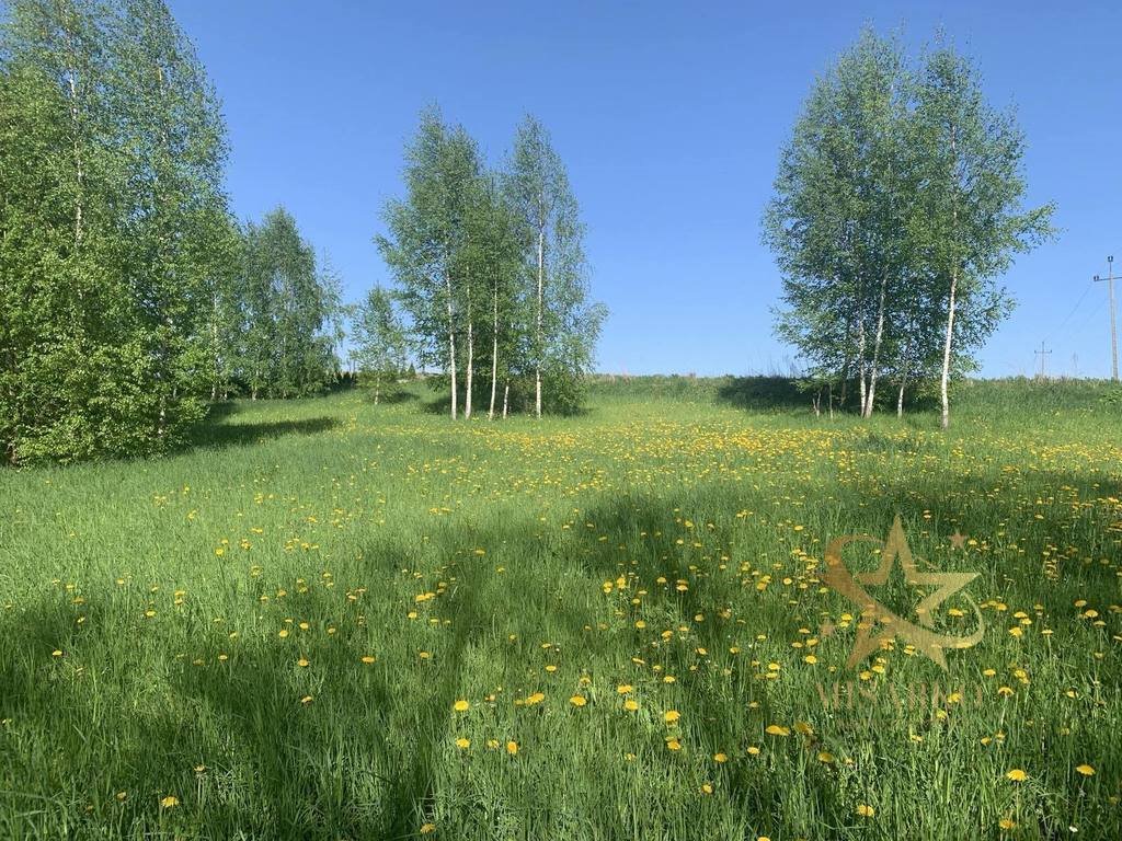 Działka rekreacyjna na sprzedaż Przejma Mała  1 423m2 Foto 5