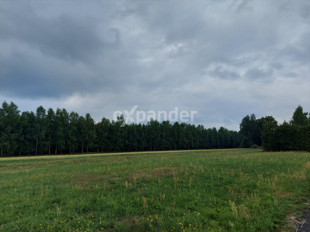 Działka budowlana na sprzedaż Wiskitki  1 511m2 Foto 4