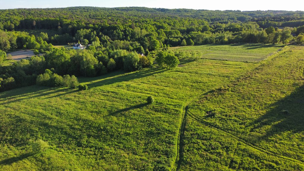 Działka budowlana na sprzedaż Hermanowa  16 000m2 Foto 2