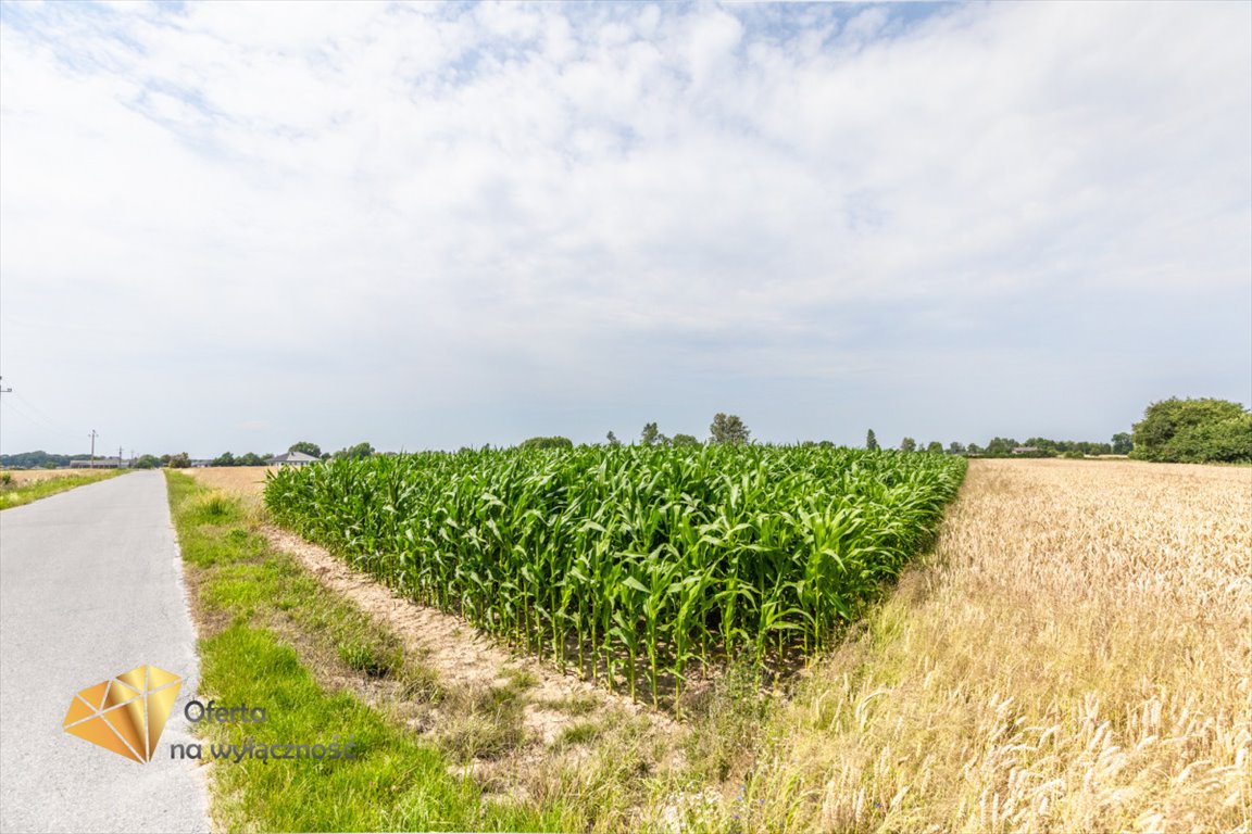 Działka budowlana na sprzedaż Fajsławice  3 900m2 Foto 5