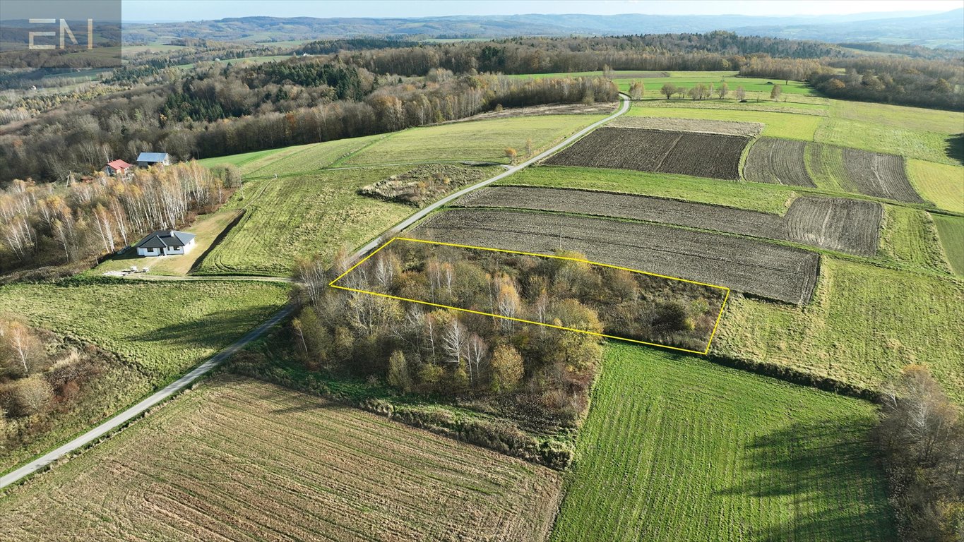 Działka 3 000 m² z widokiem, blisko lasów, media w drodze Niewodna  3 000m2 Foto 1