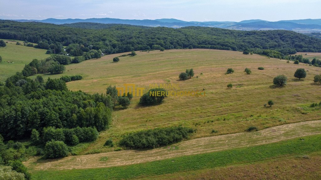 Działka rolna na sprzedaż Łężyny  1 500m2 Foto 9