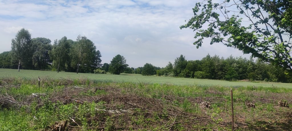 Działka budowlana na sprzedaż Borzęcin Mały  1 000m2 Foto 6