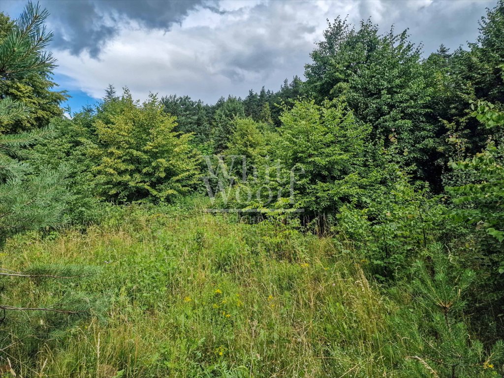 Działka budowlana na sprzedaż Bojano, Józefa Wybickiego  1 206m2 Foto 8