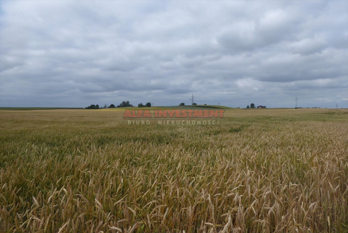 Działka rolna na sprzedaż Grębocin, Przydatki  104 300m2 Foto 3