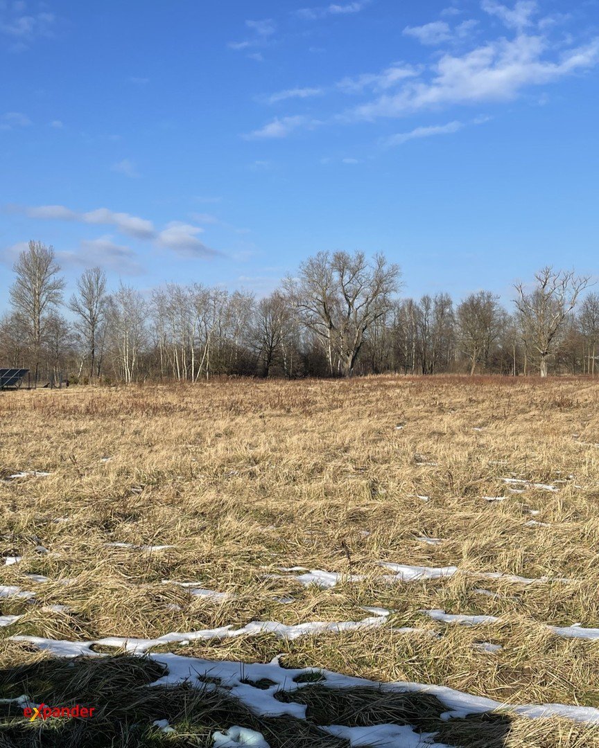 Działka budowlana w Chorzenicach z mediami i stawem Chorzenice  2 923m2 Foto 1