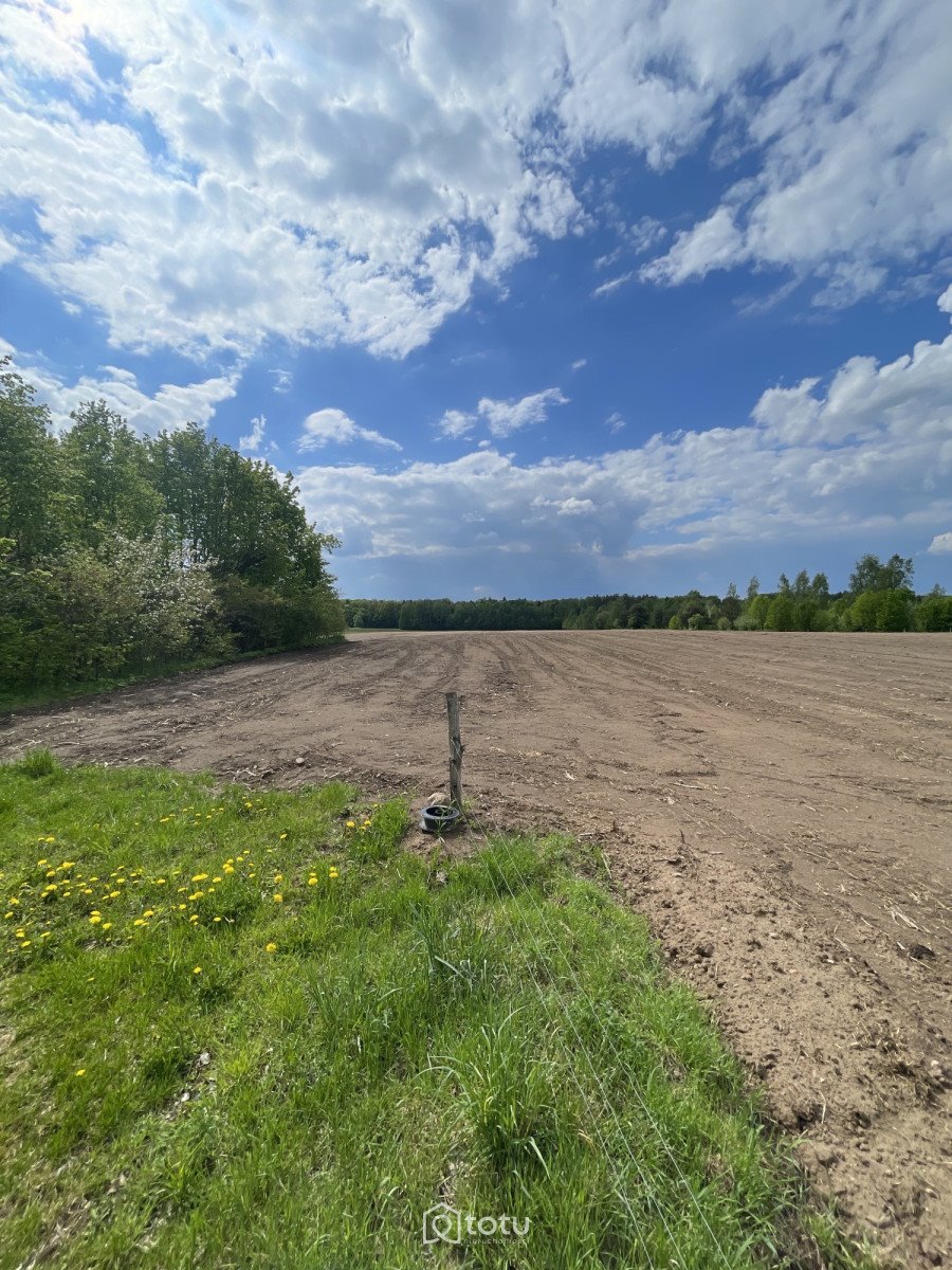 Atrakcyjna działka rolna 9 ha nad Biebrzą w Kamiennej Nowej Kamienna Nowa  90 000m2 Foto 1