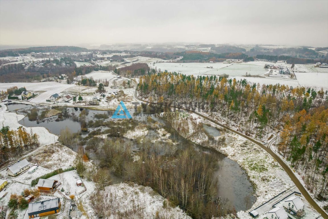 Działka budowlana na sprzedaż Pierszczewo  10 569m2 Foto 6