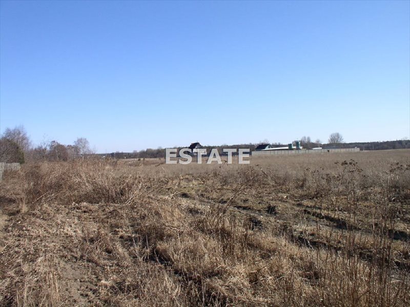 Działka inwestycyjna 52 000 m² z dostępem do drogi asfaltowej Rawa Mazowiecka  52 000m2 Foto 1