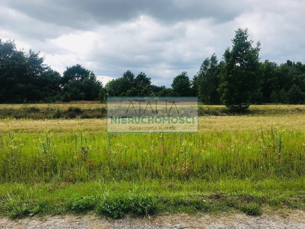 Do sprzedania działka 3900 m² pod zabudowę w zielonej okolicy Powązki  3 900m2 Foto 1