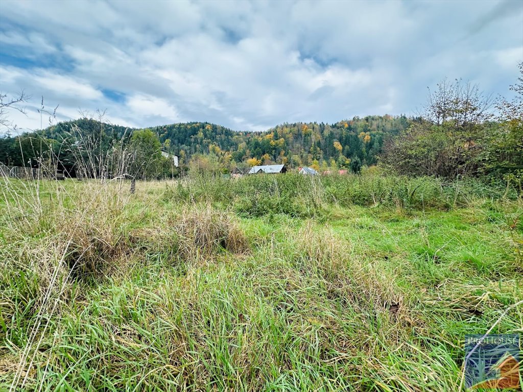 Działka budowlana na sprzedaż Kamienica  1 000m2 Foto 6