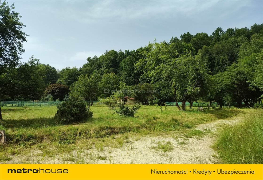 Działka inna na sprzedaż Lądek-Zdrój, Widok  1 962m2 Foto 4