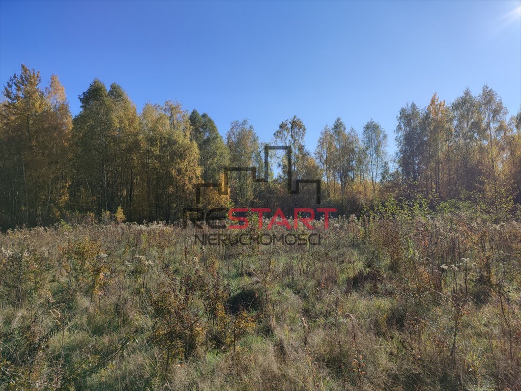 Działka rolna na sprzedaż Adamów-Parcel  20 800m2 Foto 7