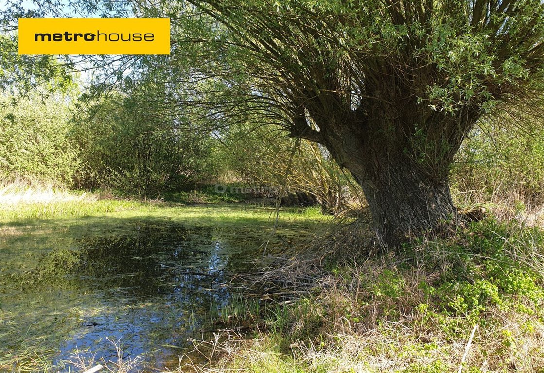 Działka rekreacyjna na sprzedaż Jarczechowo  1 501m2 Foto 1