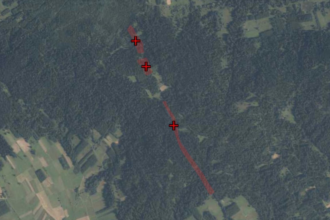 Leśne działki w Podwilku 12 353 m² pod inwestycję Nowotarski  12 353m2 Foto 1