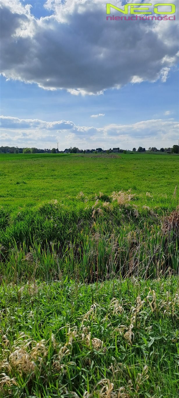 Działka rolna 4736 m² z potencjałem, dojazd polną drogą Opatów  4 736m2 Foto 1