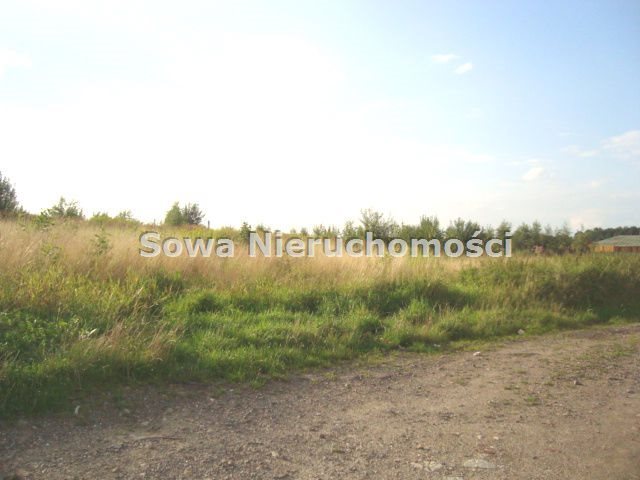 Działka budowlana na sprzedaż Wałbrzych, Poniatów 1 650m2 Foto 1 Działka budowlana na sprzedaż Wałbrzych, Poniatów 1 650m2 Foto 1