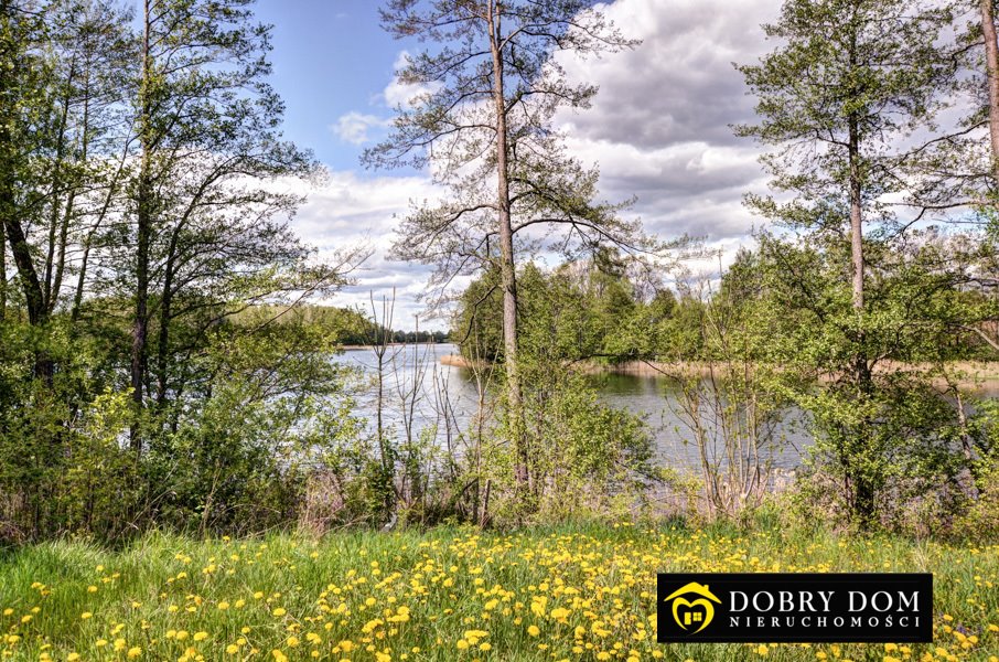 Działka rolna na sprzedaż Sumowo  7 000m2 Foto 8