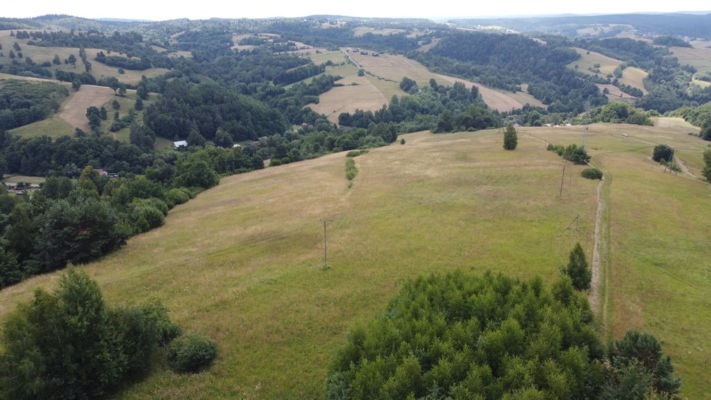 Działka budowlana na sprzedaż Korzeniec  61 494m2 Foto 12