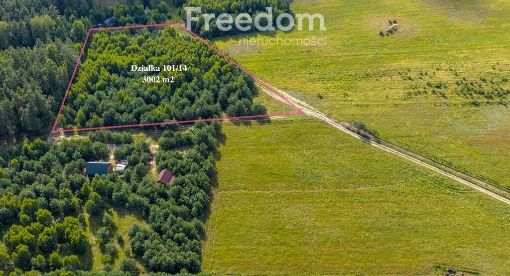 Działka siedliskowa na sprzedaż Dobrzyń  3 002m2 Foto 1