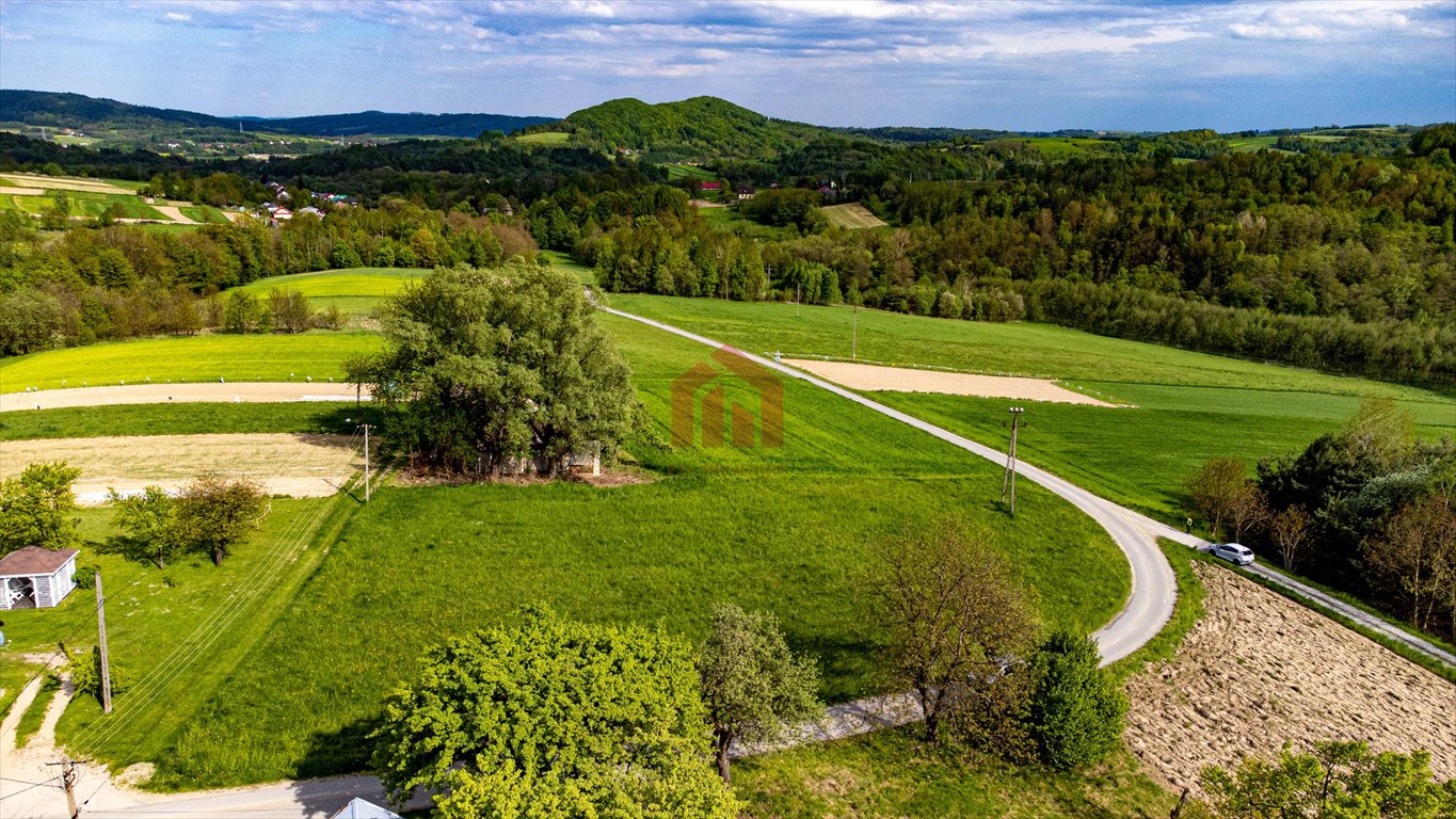 Działka budowlana na sprzedaż Jodłowa  2 700m2 Foto 8