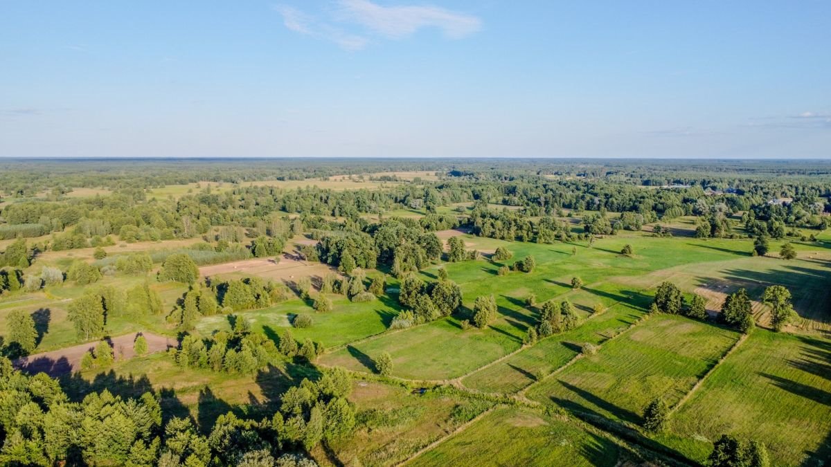 Działka budowlana na sprzedaż Zarzetka  1 319m2 Foto 9