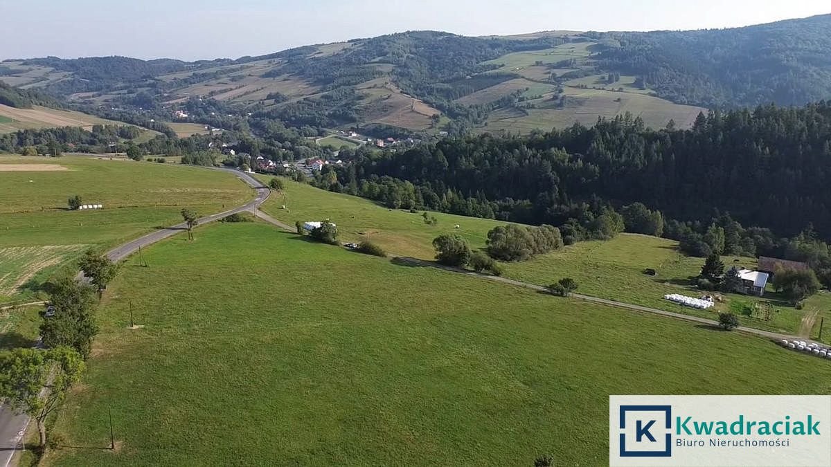 Działka budowlana na sprzedaż Kąty  1 250m2 Foto 7