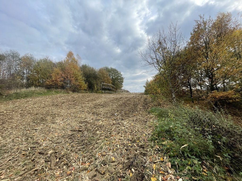 Działka budowlana na sprzedaż Dobczyce, Skrzynecka  7 600m2 Foto 4