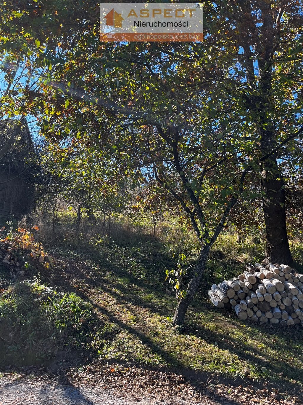 Działka budowlana na sprzedaż Barycz  2 200m2 Foto 4