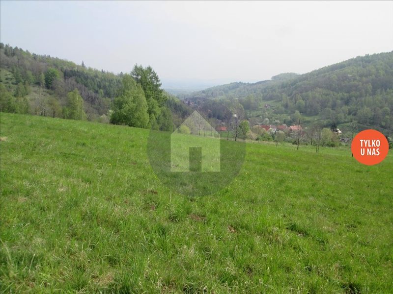 Działka budowlana na sprzedaż Pieszyce, Rościszów 3 000m2 Foto 1 Działka budowlana na sprzedaż Pieszyce, Rościszów 3 000m2 Foto 1