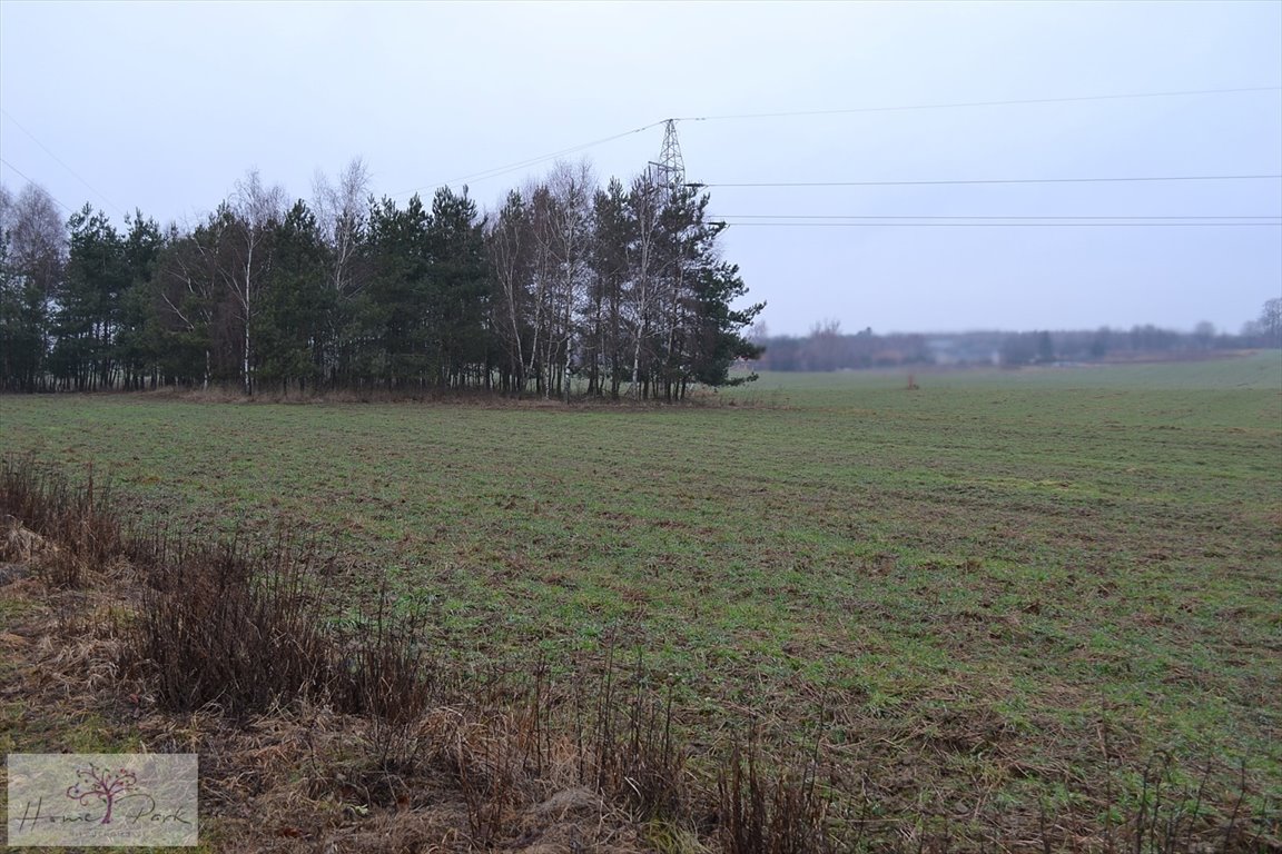 Działka inna na sprzedaż Józefów  3 000m2 Foto 1