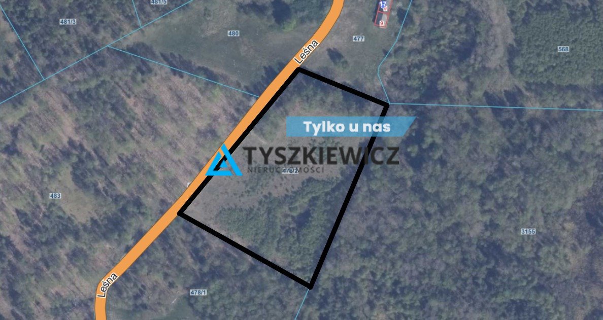 Działka 11 811 m2 z warunkami zabudowy, cicha okolica Skrzeszewo Żukowskie, Leśna  11 811m2 Foto 1