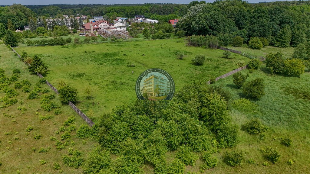 Działka budowlana na sprzedaż Ostromice  42 000m2 Foto 17