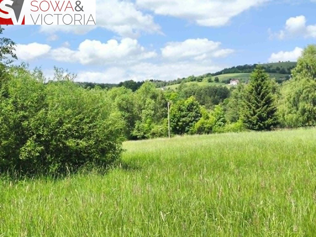 Działka 1400 m² z drzewami, plan pod zabudowę, spokój Sierpnica  1 400m2 Foto 1
