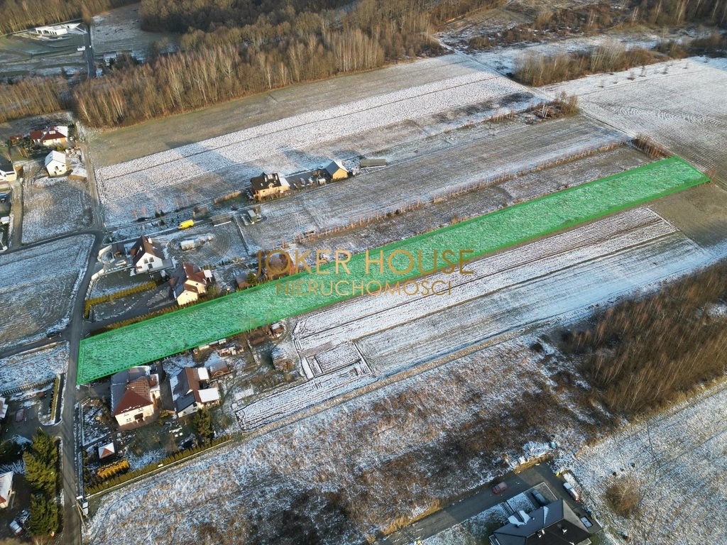 Działka rolna na sprzedaż Borek Stary  5 500m2 Foto 3