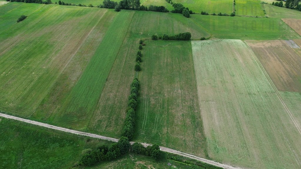 Działka rolna na sprzedaż Nakły  23 600m2 Foto 4