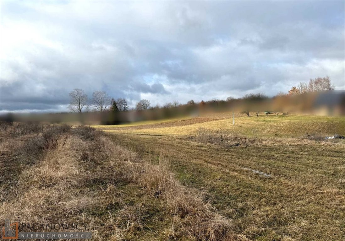 Działka budowlana 21,3 ara z mediami, blisko asfaltu Szczodrkowice  2 130m2 Foto 1